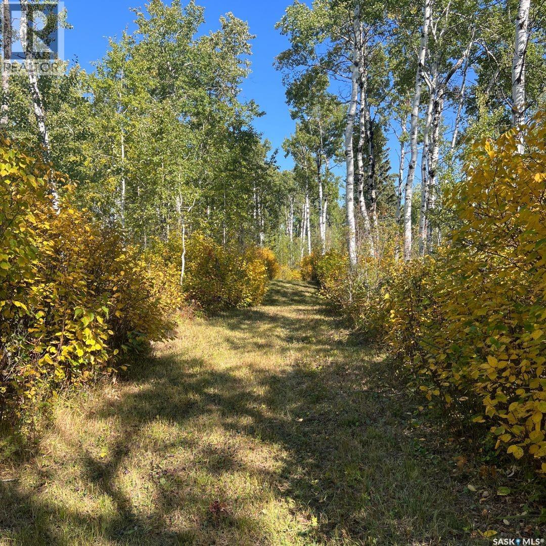 Wildlife Acres, Mervin Rm No.499, Saskatchewan  S0M 1J0 - Photo 1 - SK048445