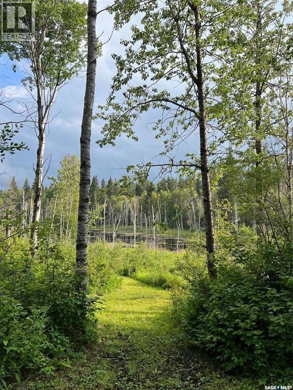 Wildlife Acres, Mervin Rm No.499, Saskatchewan  S0M 1J0 - Photo 30 - SK048445