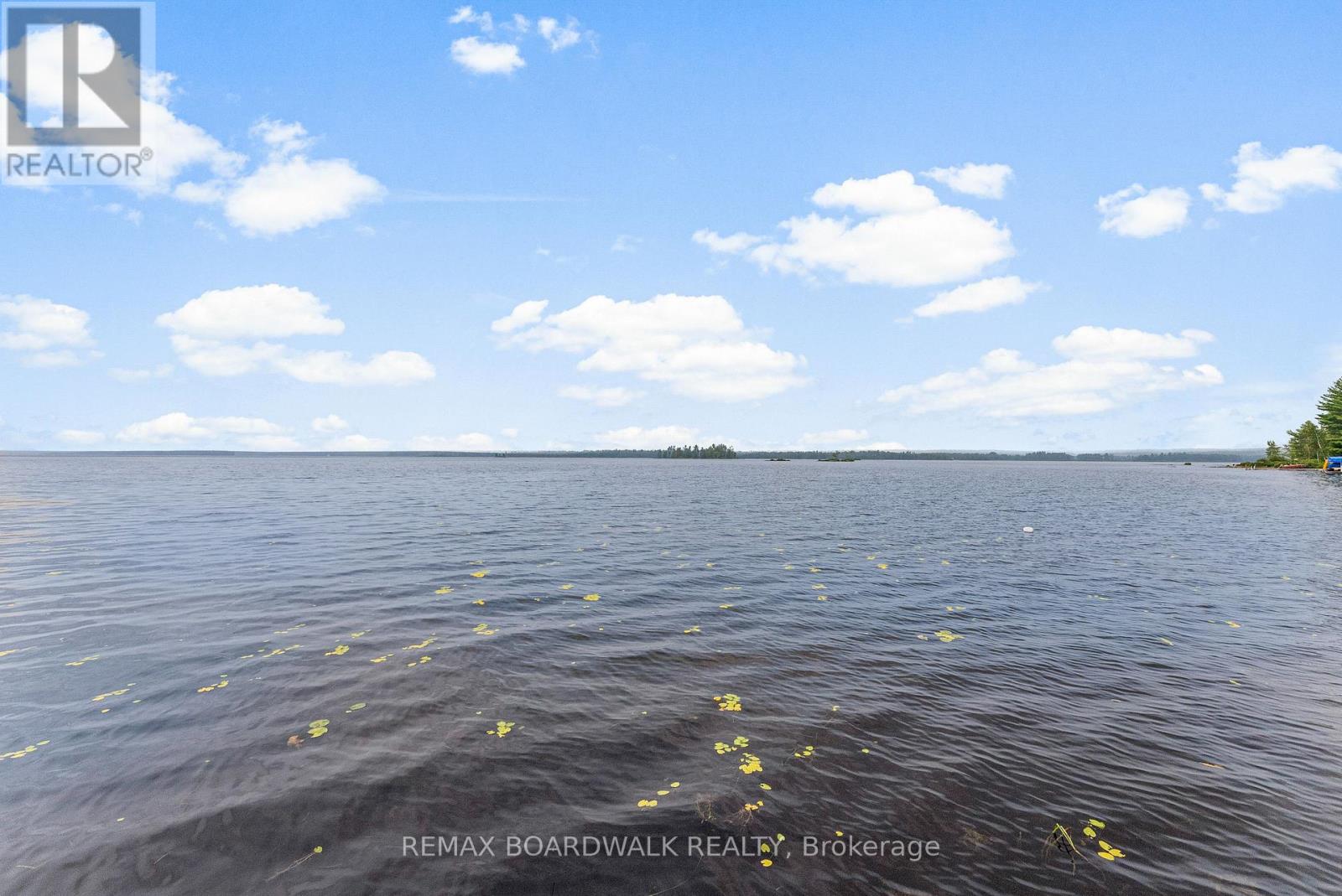 391 Leavoy Lane, Horton, Ontario  K7V 3Z8 - Photo 24 - X13782804