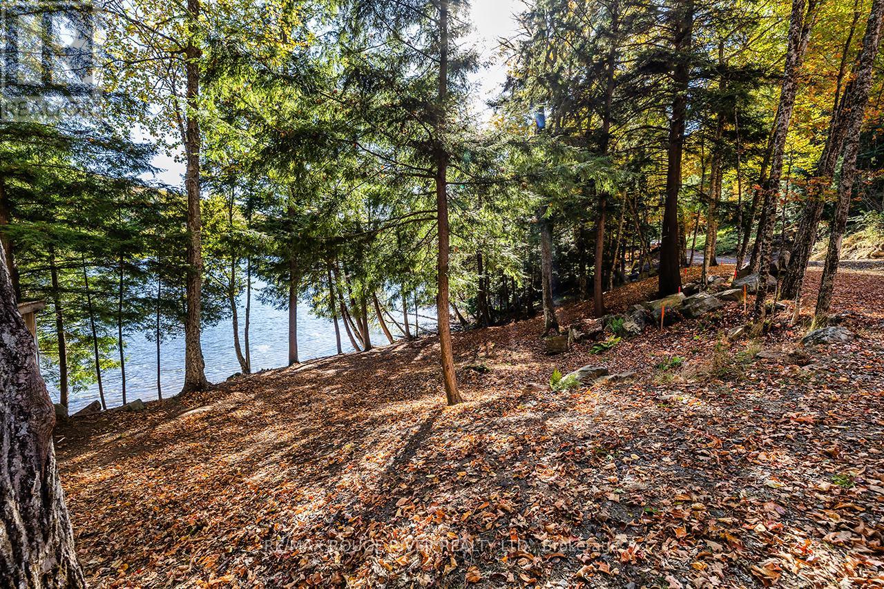 0 Thompson Portage Road, Lake Of Bays, Ontario  P0A 1H0 - Photo 17 - X13537826