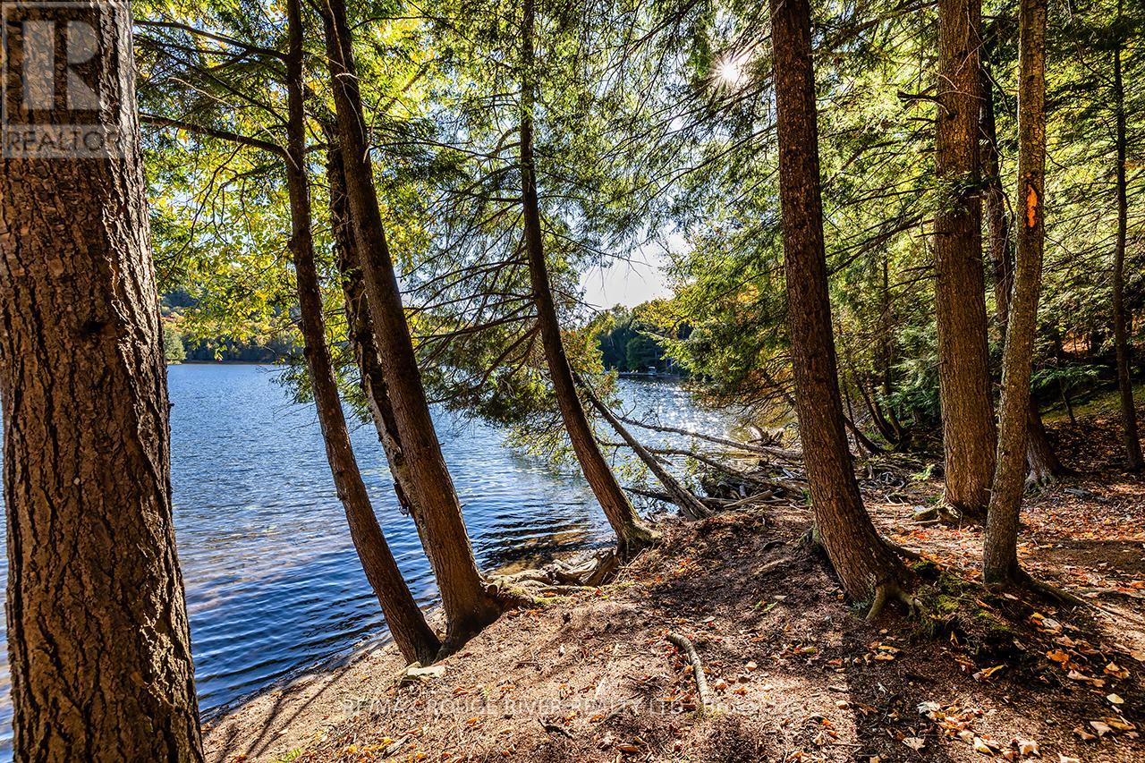0 Thompson Portage Road, Lake Of Bays, Ontario  P0A 1H0 - Photo 21 - X13537826