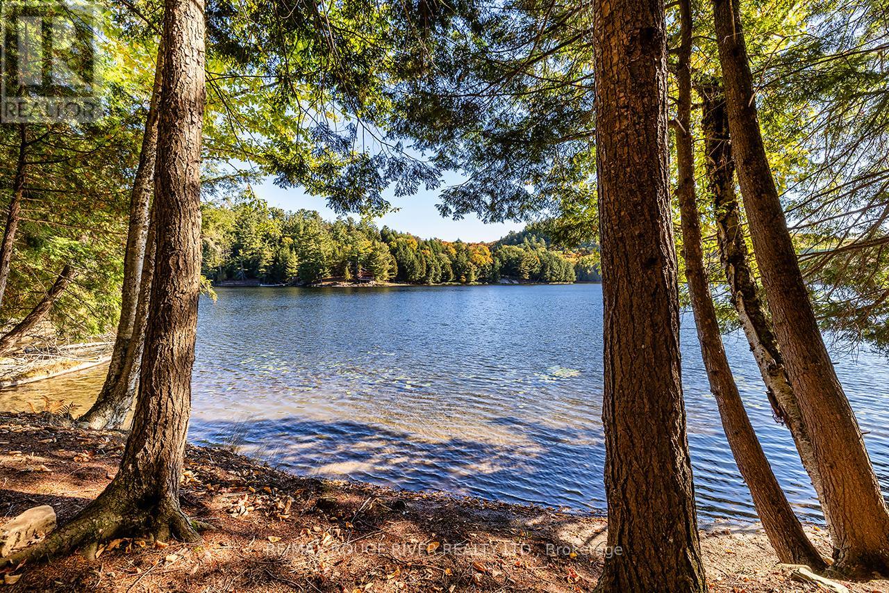 0 Thompson Portage Road, Lake Of Bays, Ontario  P0A 1H0 - Photo 13 - X13537826