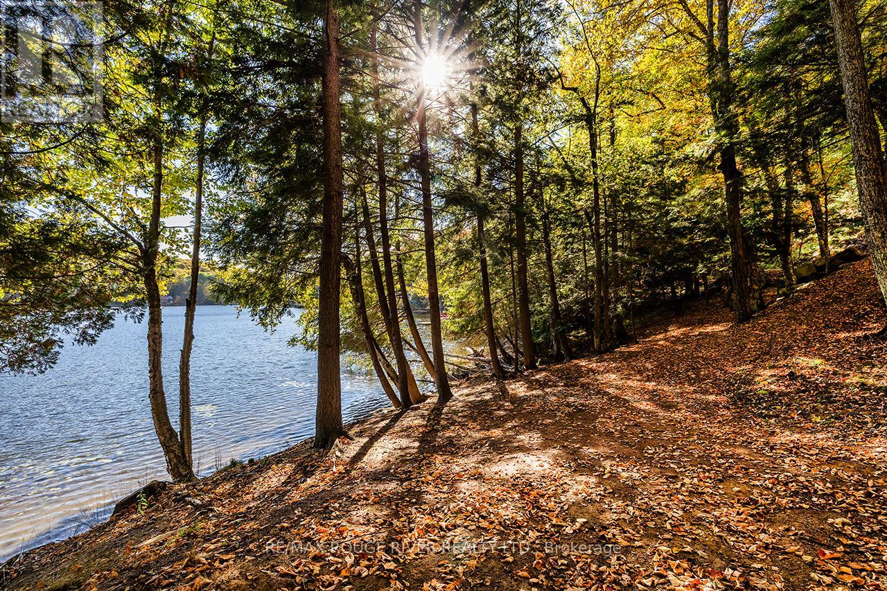 0 Thompson Portage Road, Lake Of Bays, Ontario  P0A 1H0 - Photo 22 - X13537826