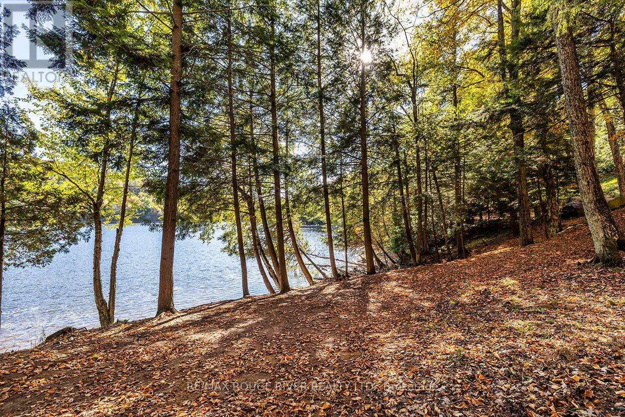 0 Thompson Portage Road, Lake Of Bays, Ontario  P0A 1H0 - Photo 23 - X13537826