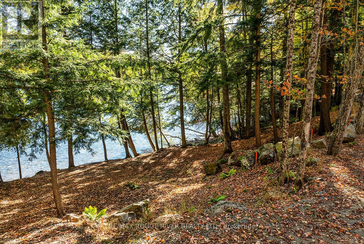 0 Thompson Portage Road, Lake Of Bays, Ontario  P0A 1H0 - Photo 18 - X13537826