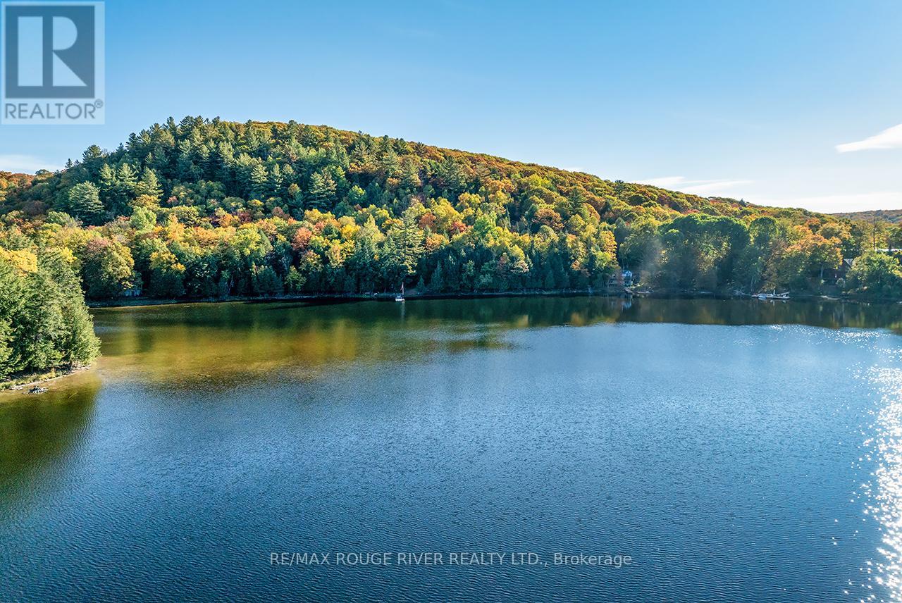 0 Thompson Portage Road, Lake Of Bays, Ontario  P0A 1H0 - Photo 30 - X13537826