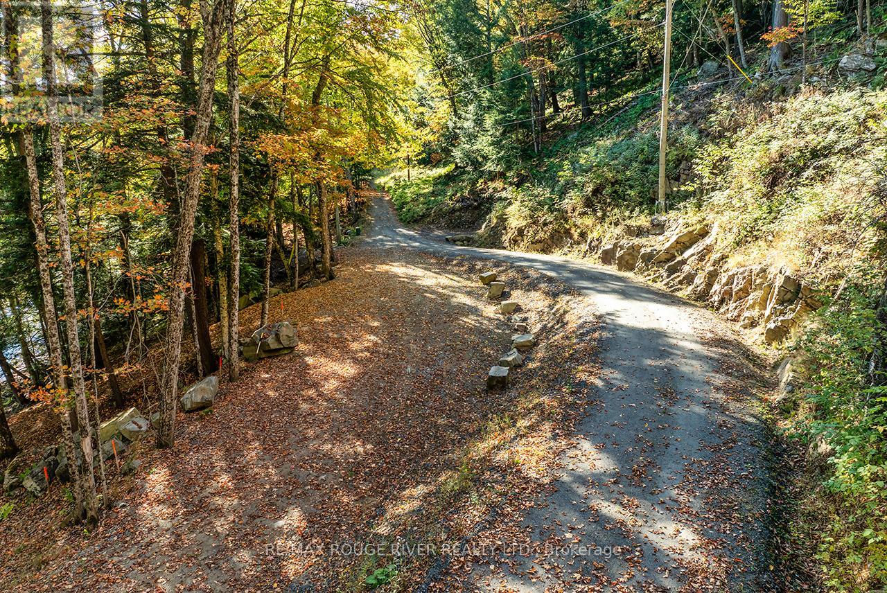 0 Thompson Portage Road, Lake Of Bays, Ontario  P0A 1H0 - Photo 14 - X13537826