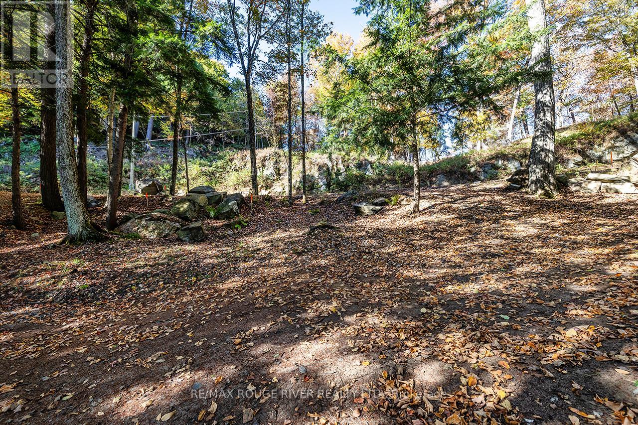 0 Thompson Portage Road, Lake Of Bays, Ontario  P0A 1H0 - Photo 24 - X13537826