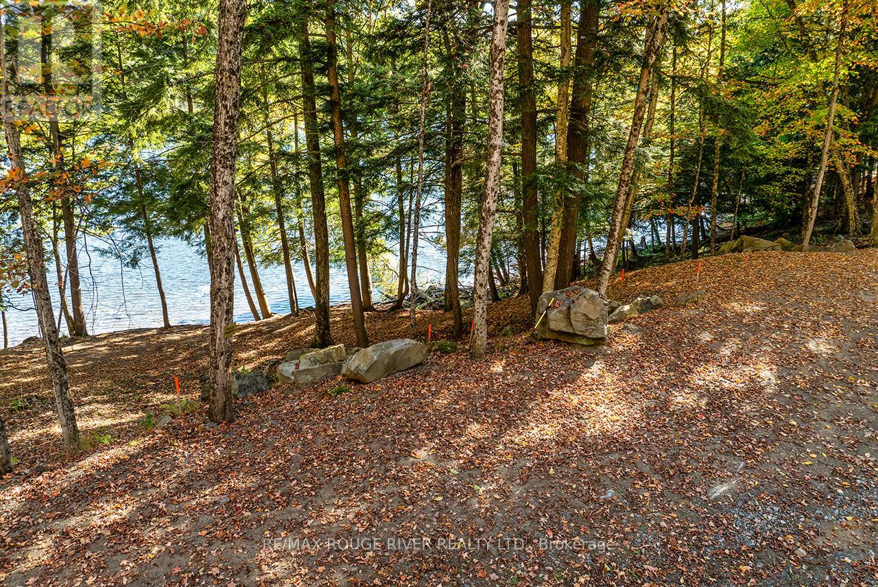 0 Thompson Portage Road, Lake Of Bays, Ontario  P0A 1H0 - Photo 19 - X13537826