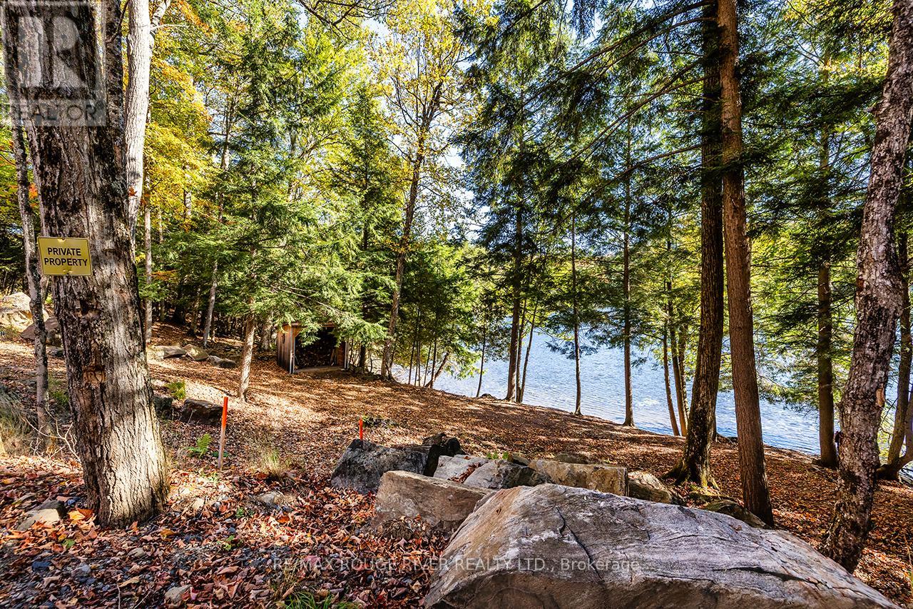 0 Thompson Portage Road, Lake Of Bays, Ontario  P0A 1H0 - Photo 10 - X13537826