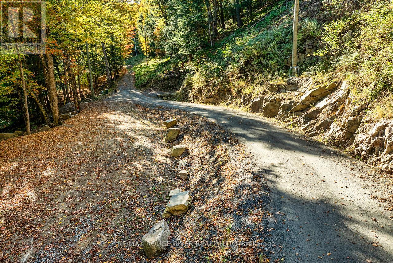 0 Thompson Portage Road, Lake Of Bays, Ontario  P0A 1H0 - Photo 15 - X13537826