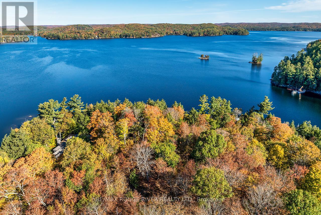 0 Thompson Portage Road, Lake Of Bays, Ontario  P0A 1H0 - Photo 28 - X13537826