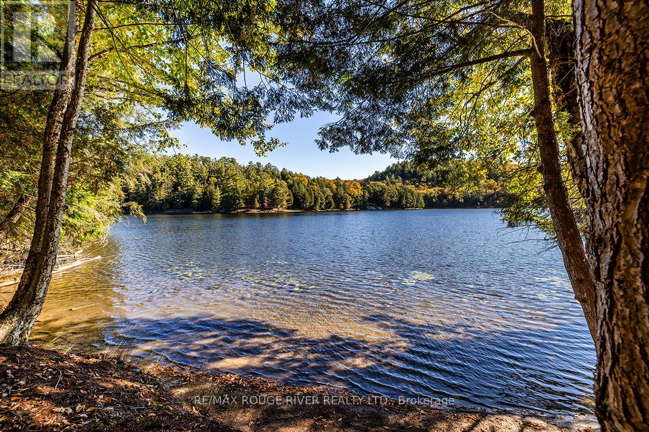 0 Thompson Portage Road, Lake Of Bays, Ontario  P0A 1H0 - Photo 12 - X13537826