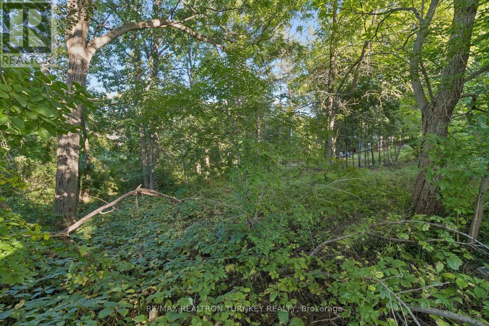 105 Bolton Avenue, Newmarket (Huron Heights-Leslie Valley), Ontario  L3Y 2X3 - Photo 41 - N13782856