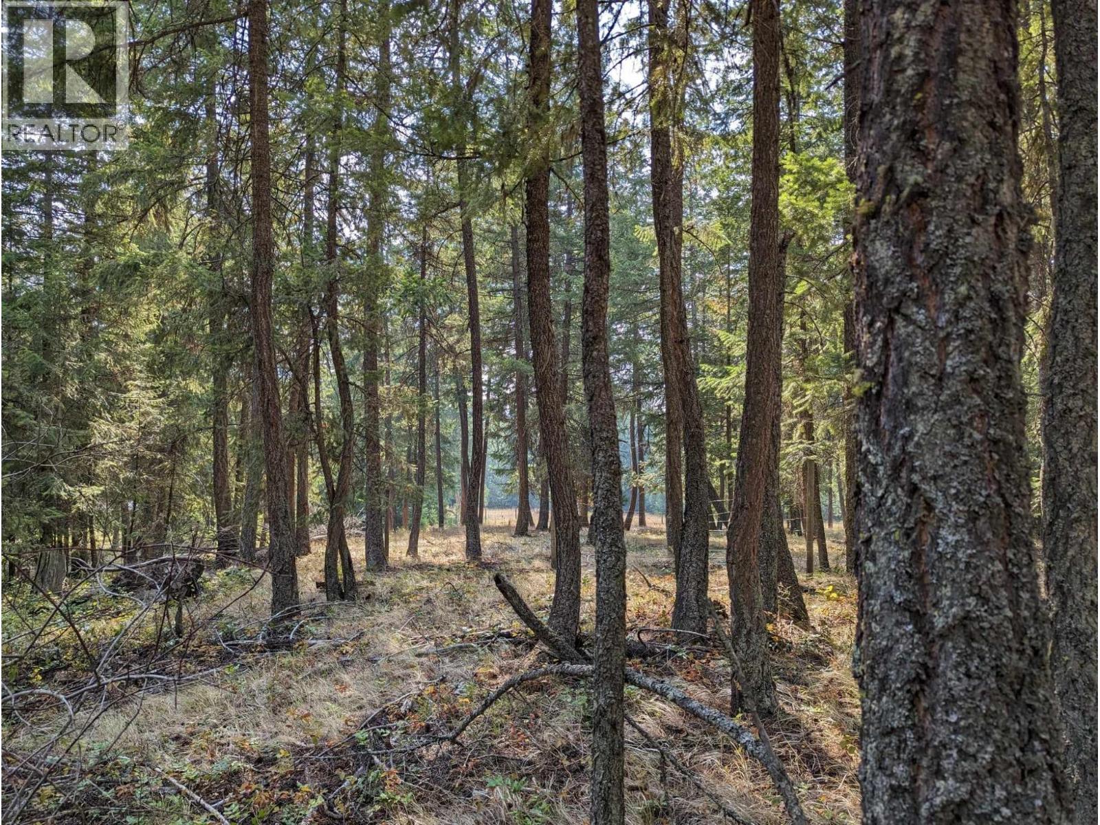 8569 Black Mountain Road, Chase, British Columbia  V0E 1M0 - Photo 10 - 10400315