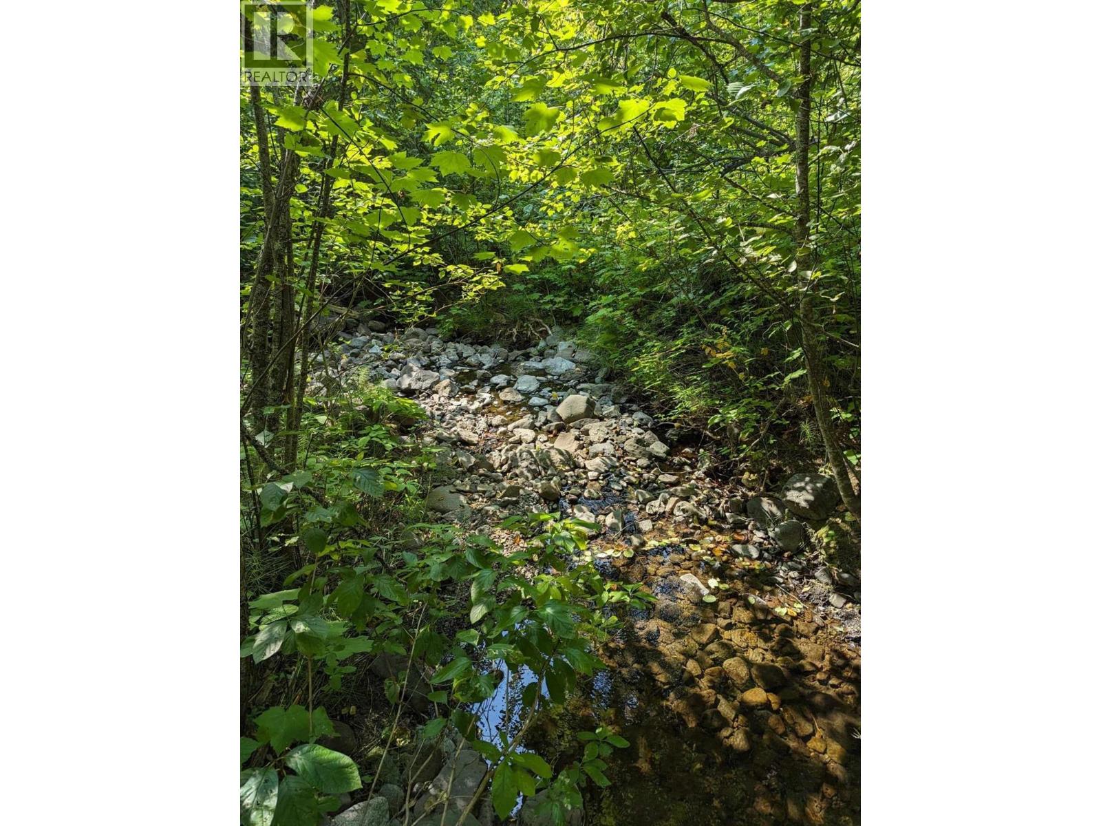 8569 Black Mountain Road, Chase, British Columbia  V0E 1M0 - Photo 11 - 10400315