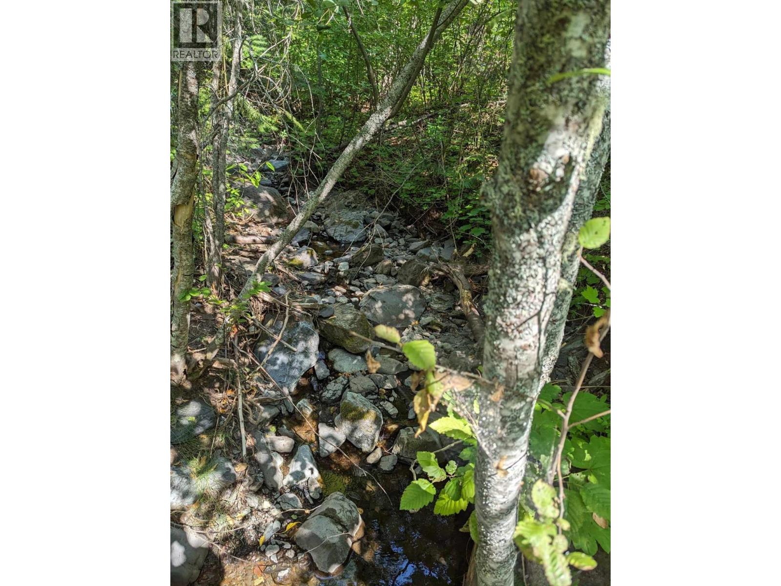 8569 Black Mountain Road, Chase, British Columbia  V0E 1M0 - Photo 12 - 10400315