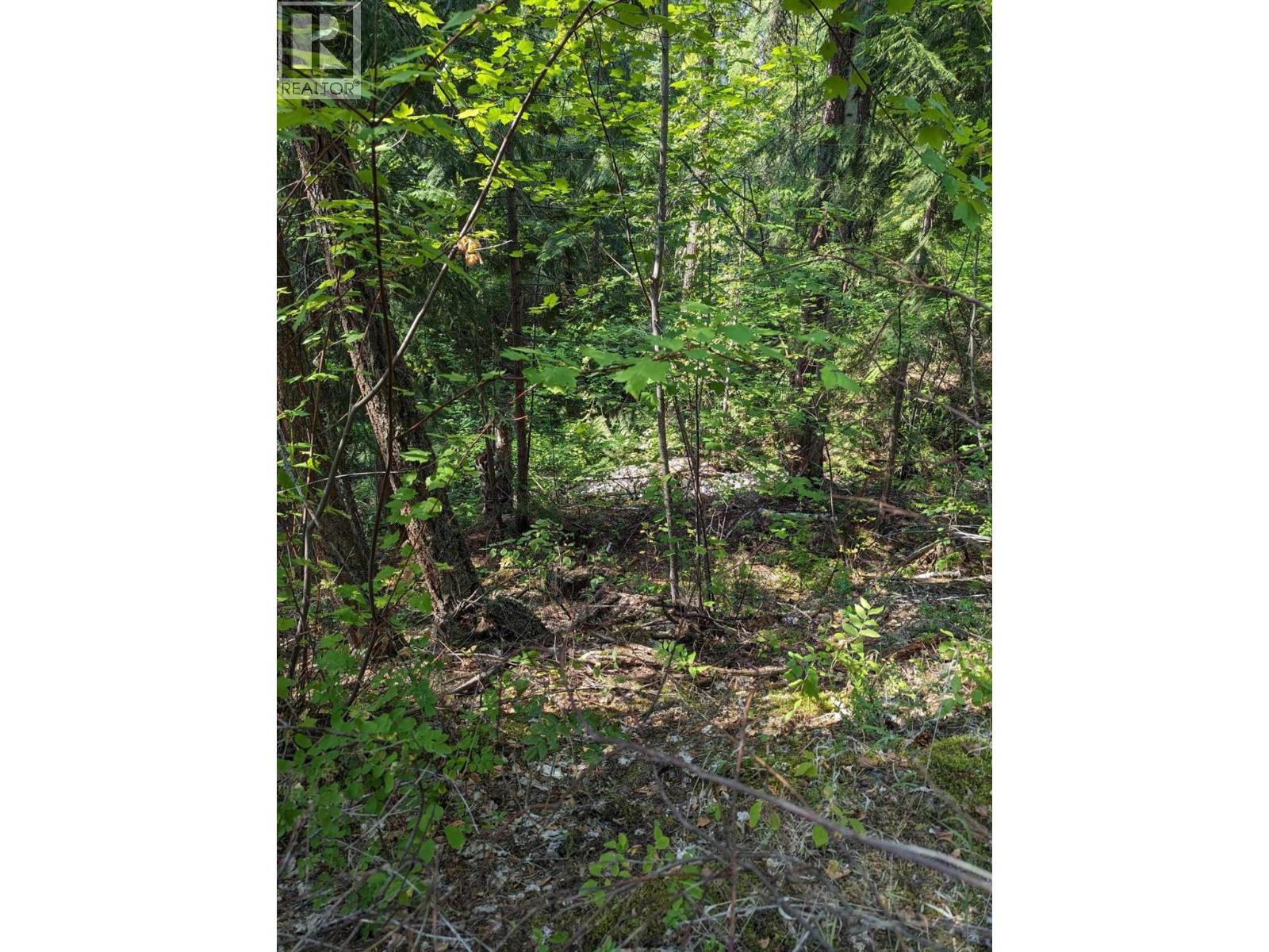 8569 Black Mountain Road, Chase, British Columbia  V0E 1M0 - Photo 13 - 10400315
