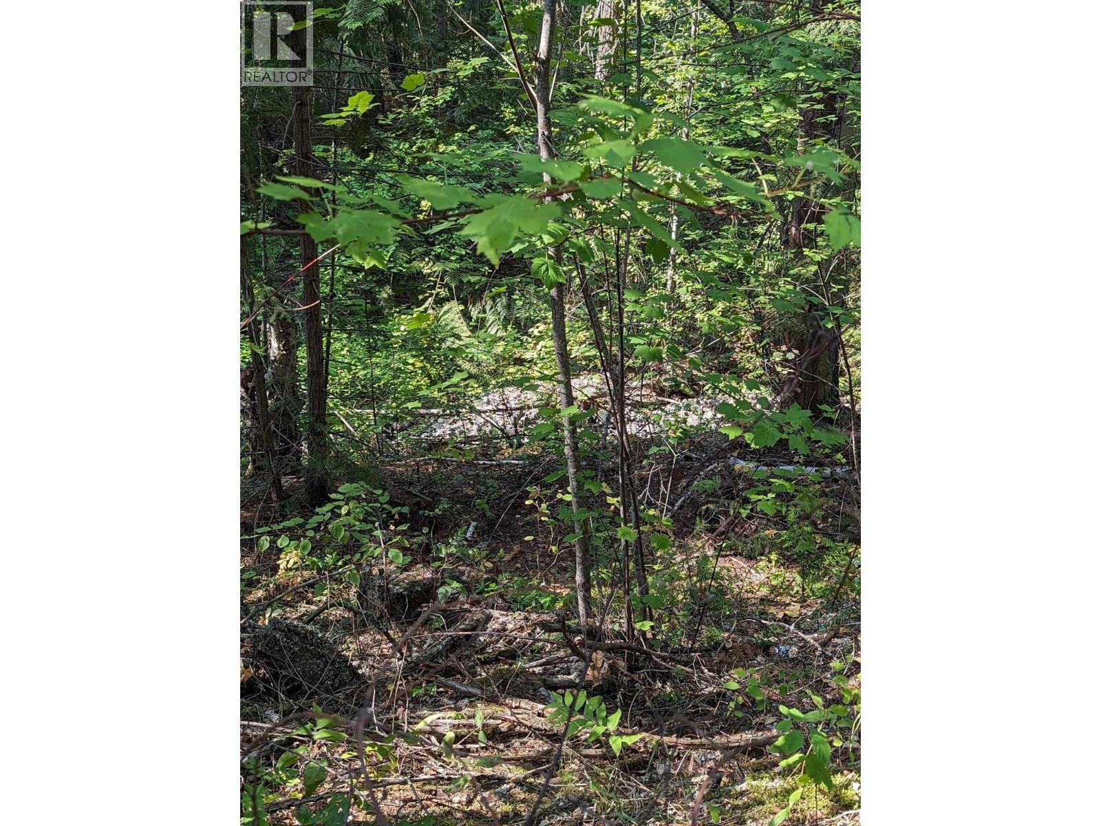 8569 Black Mountain Road, Chase, British Columbia  V0E 1M0 - Photo 16 - 10400315