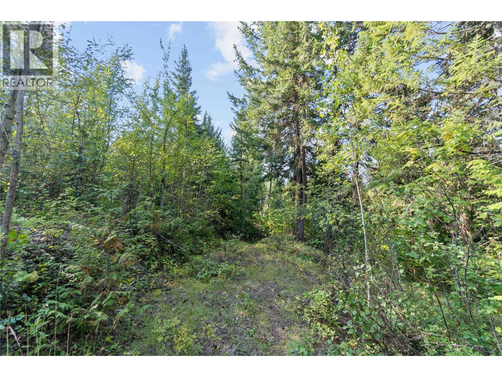 8569 Black Mountain Road, Chase, British Columbia  V0E 1M0 - Photo 2 - 10400315