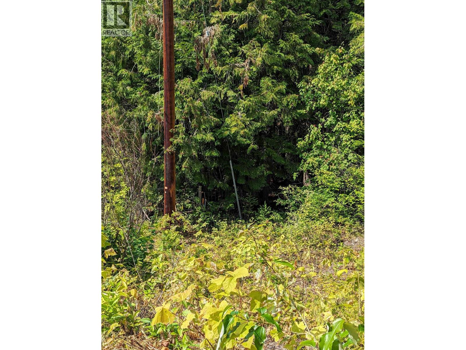 8569 Black Mountain Road, Chase, British Columbia  V0E 1M0 - Photo 25 - 10400315