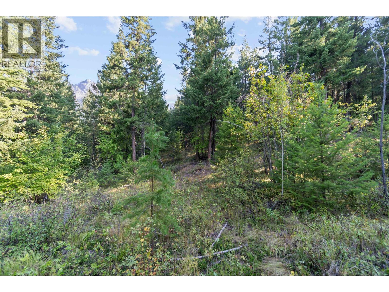 8569 Black Mountain Road, Chase, British Columbia  V0E 1M0 - Photo 41 - 10400315