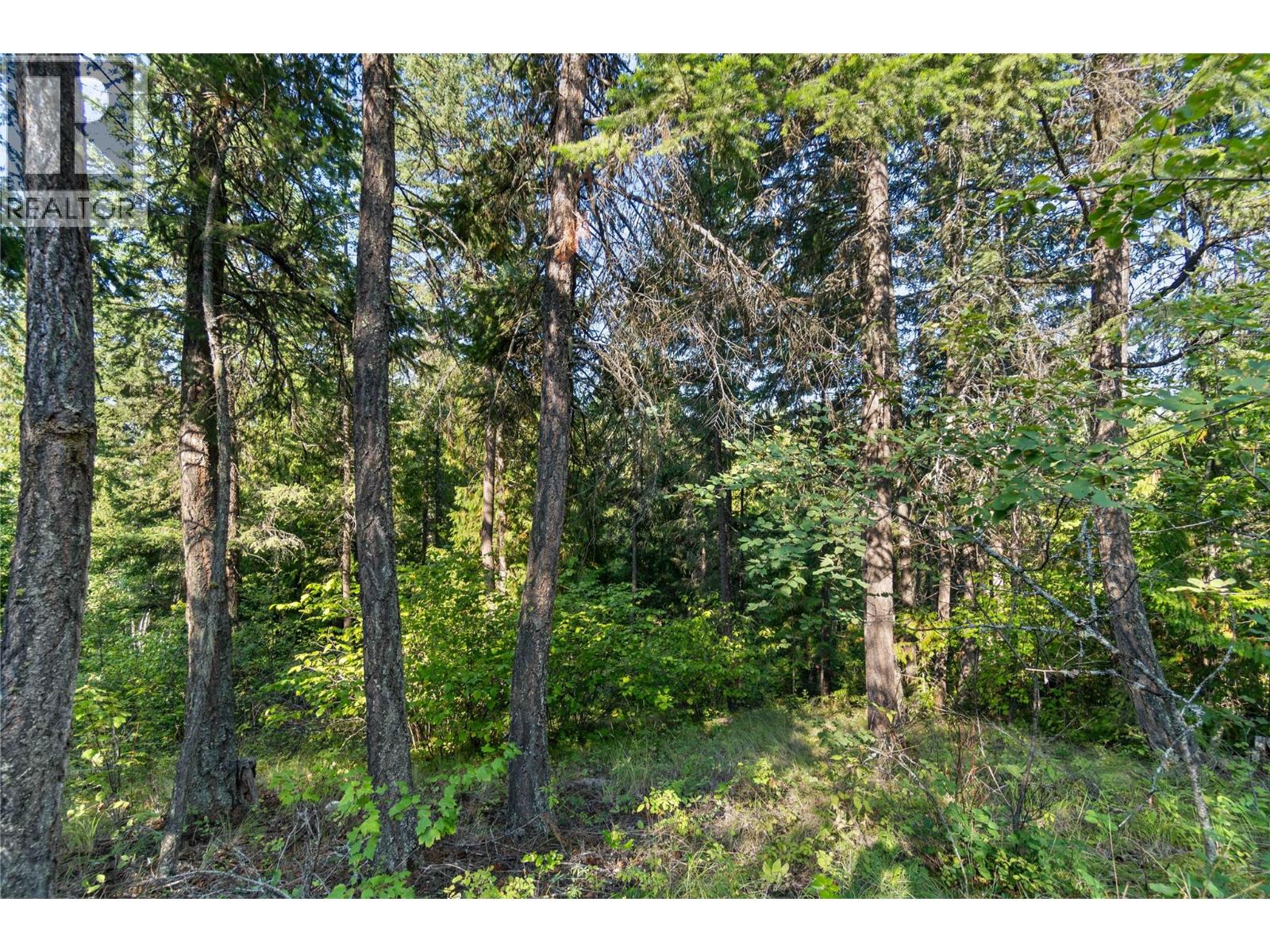 8569 Black Mountain Road, Chase, British Columbia  V0E 1M0 - Photo 43 - 10400315