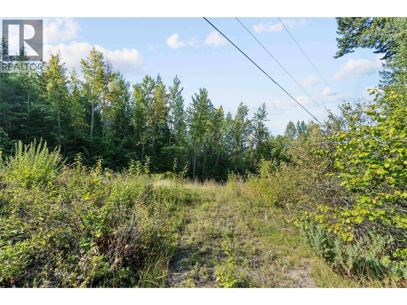 8569 Black Mountain Road, Chase, British Columbia  V0E 1M0 - Photo 44 - 10400315