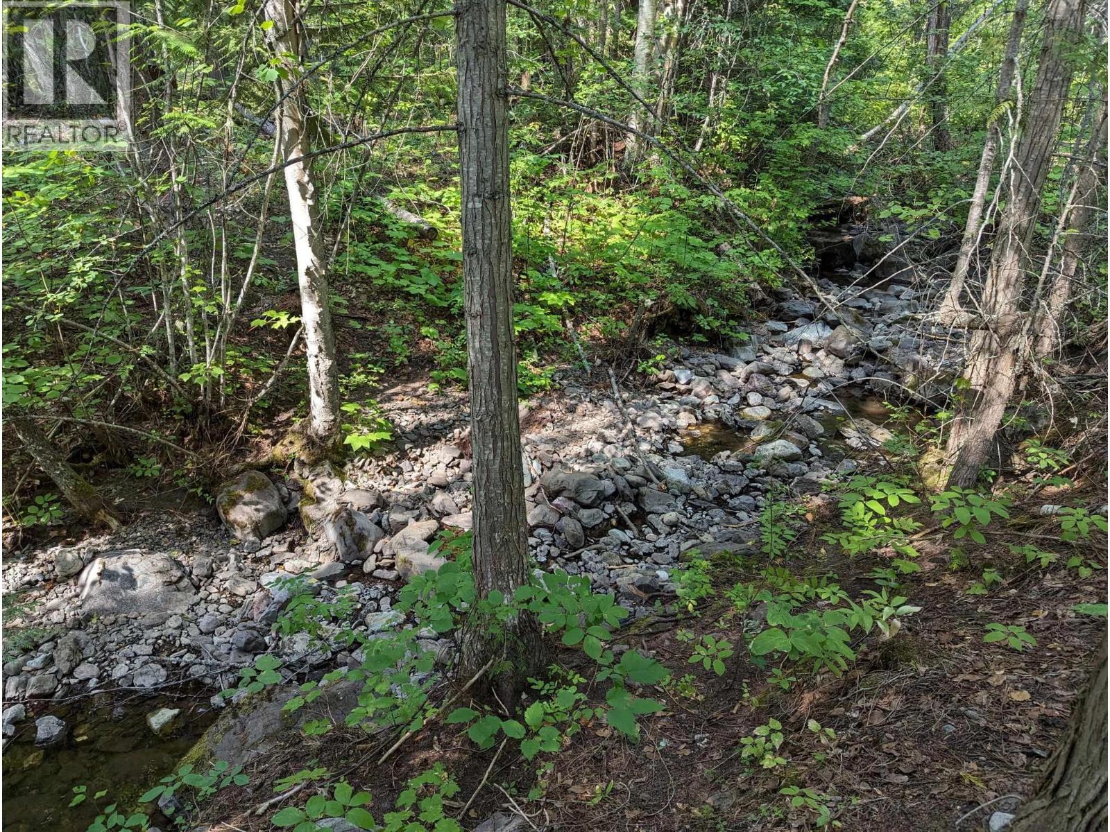 8569 Black Mountain Road, Chase, British Columbia  V0E 1M0 - Photo 45 - 10400315