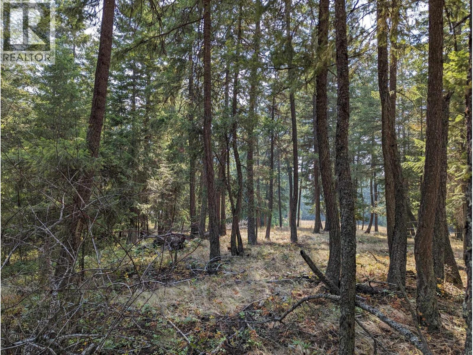 8569 Black Mountain Road, Chase, British Columbia  V0E 1M0 - Photo 8 - 10400315