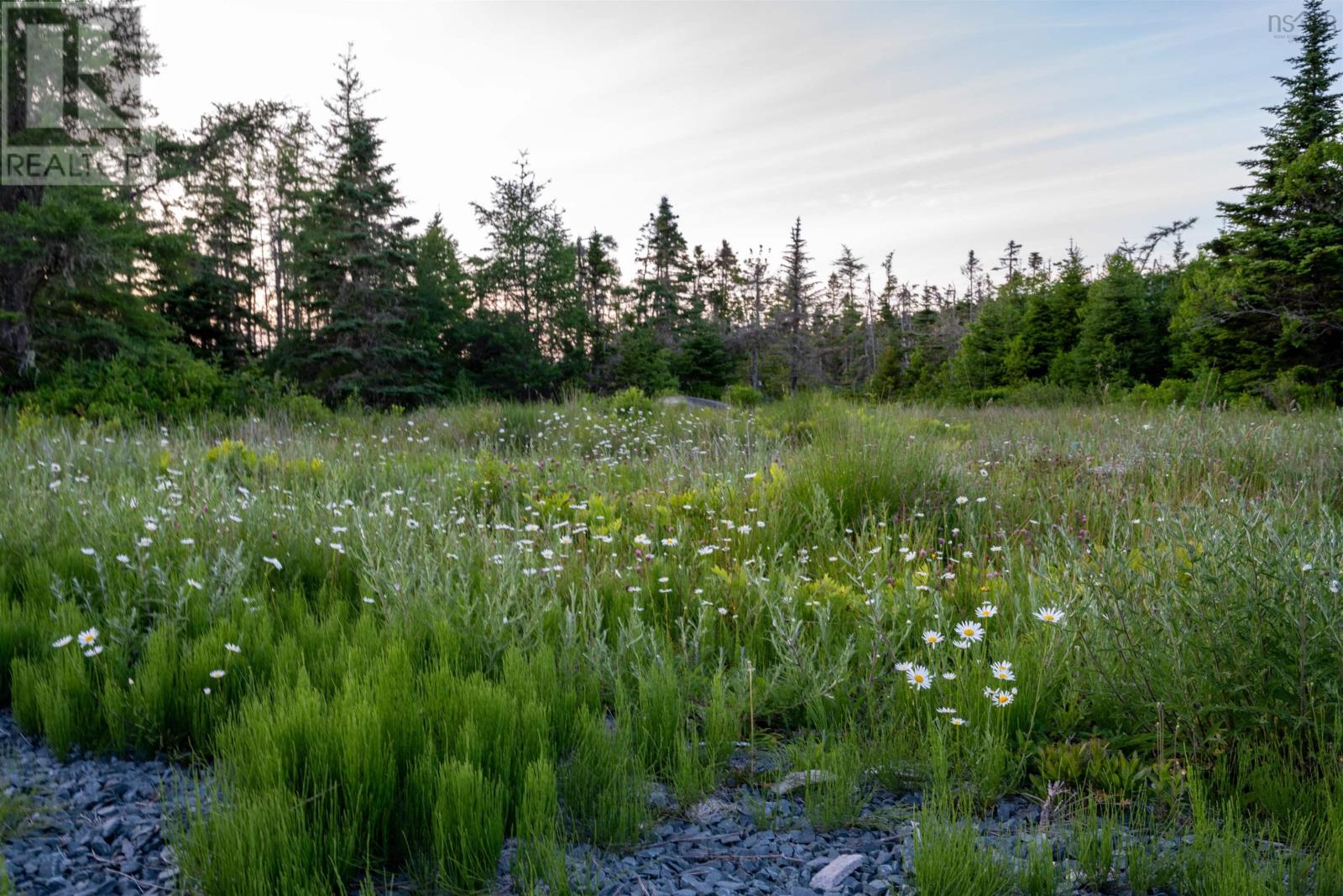 Lot B-4 Highway 7, Popes Harbour, Nova Scotia B0J 3H0 - Photo 6 - 202516487