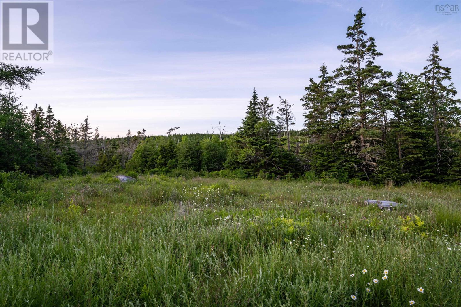 Lot B-4 Highway 7, Popes Harbour, Nova Scotia B0J 3H0 - Photo 5 - 202516487