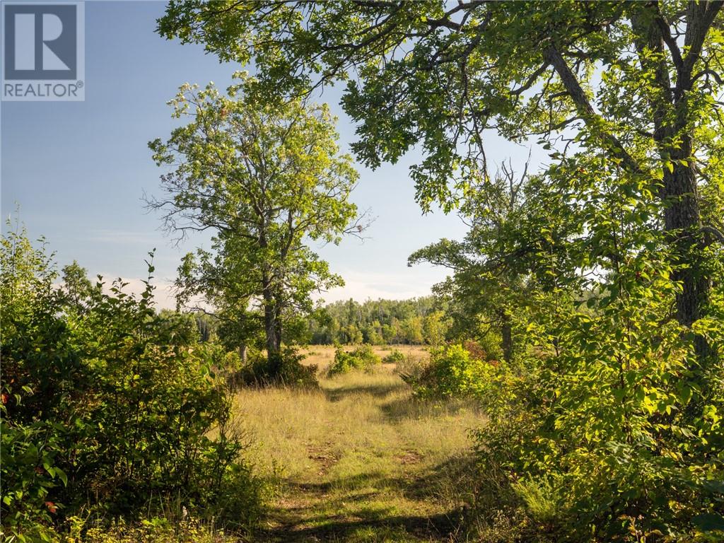 450 Fields Road, Manitowaning, Ontario  p0p 1n0 - Photo 19 - 2130281