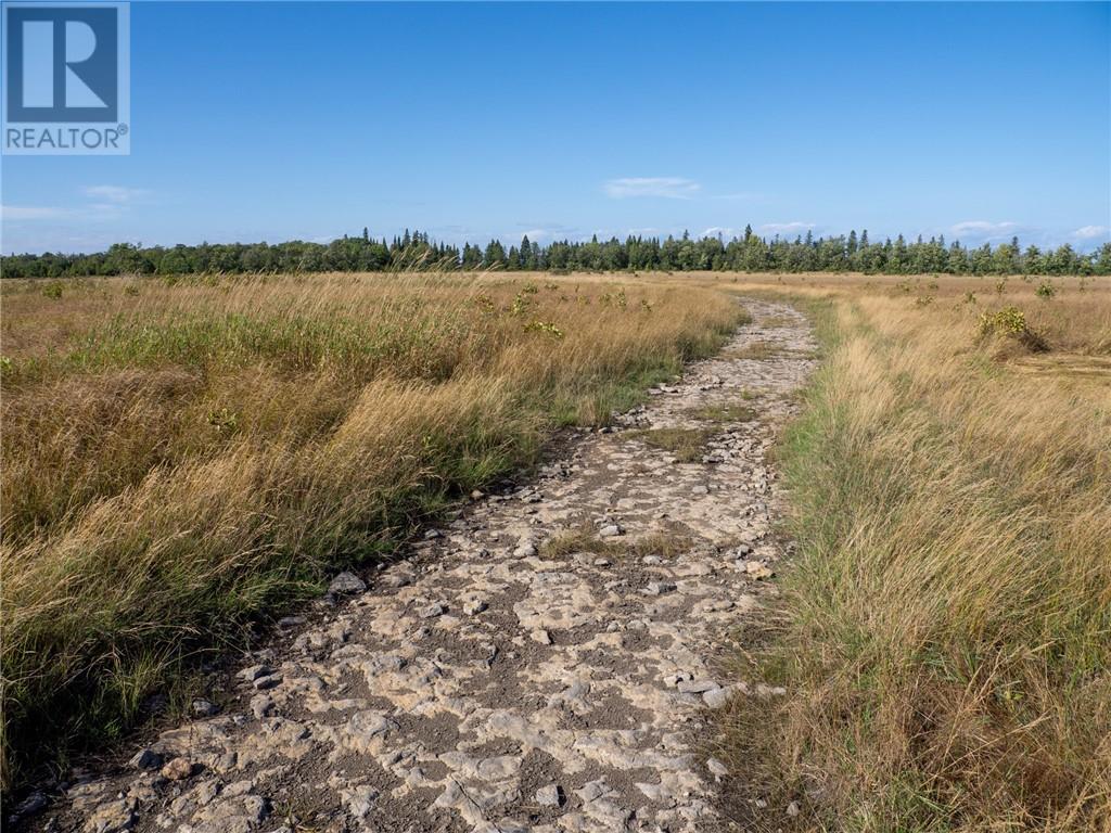 450 Fields Road, Manitowaning, Ontario  p0p 1n0 - Photo 41 - 2130281