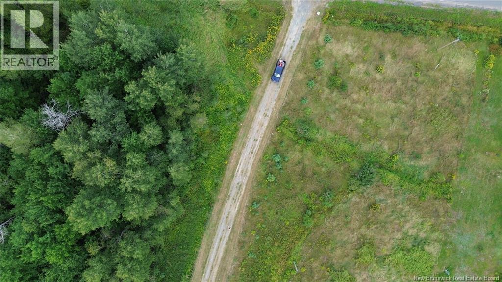 10035 Route 11, Redmondville, New Brunswick  E1N 5C6 - Photo 22 - NB145901