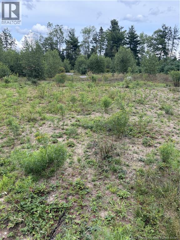 10035 Route 11, Redmondville, New Brunswick  E1N 5C6 - Photo 29 - NB145901