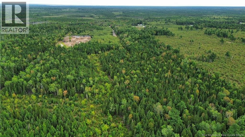 10035 Route 11, Redmondville, New Brunswick  E1N 5C6 - Photo 36 - NB145901