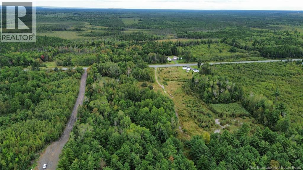 10035 Route 11, Redmondville, New Brunswick  E1N 5C6 - Photo 37 - NB145901