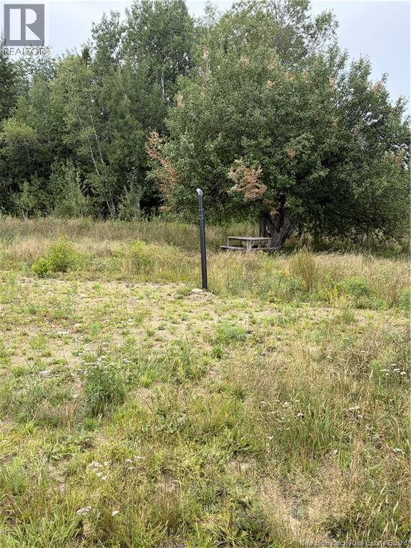 10035 Route 11, Redmondville, New Brunswick  E1N 5C6 - Photo 10 - NB145901