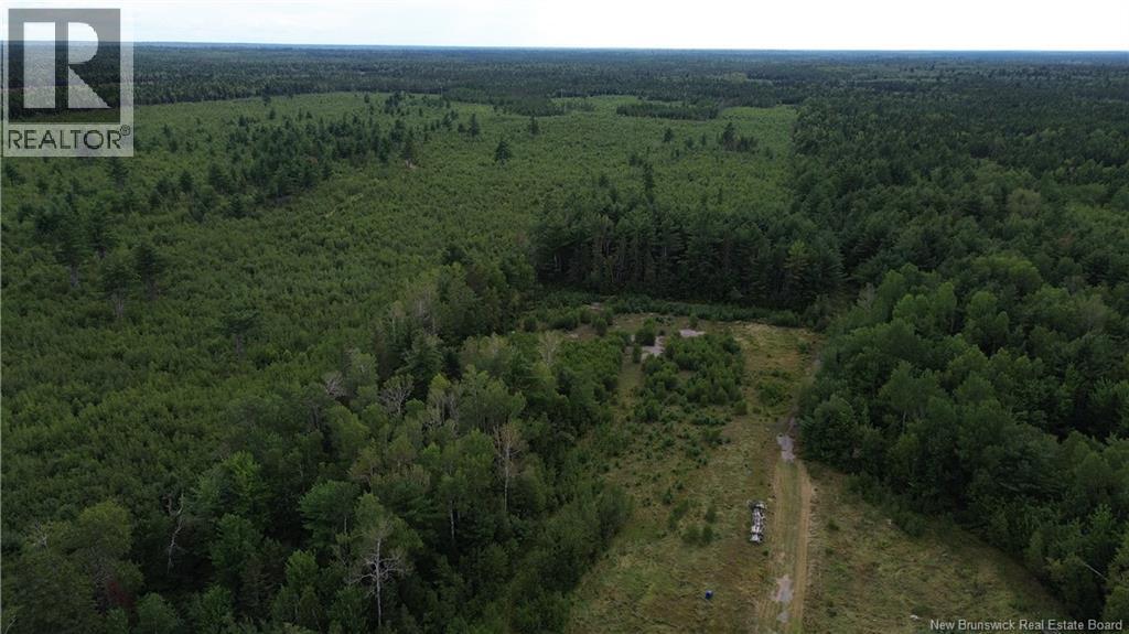 10035 Route 11, Redmondville, New Brunswick  E1N 5C6 - Photo 13 - NB145901