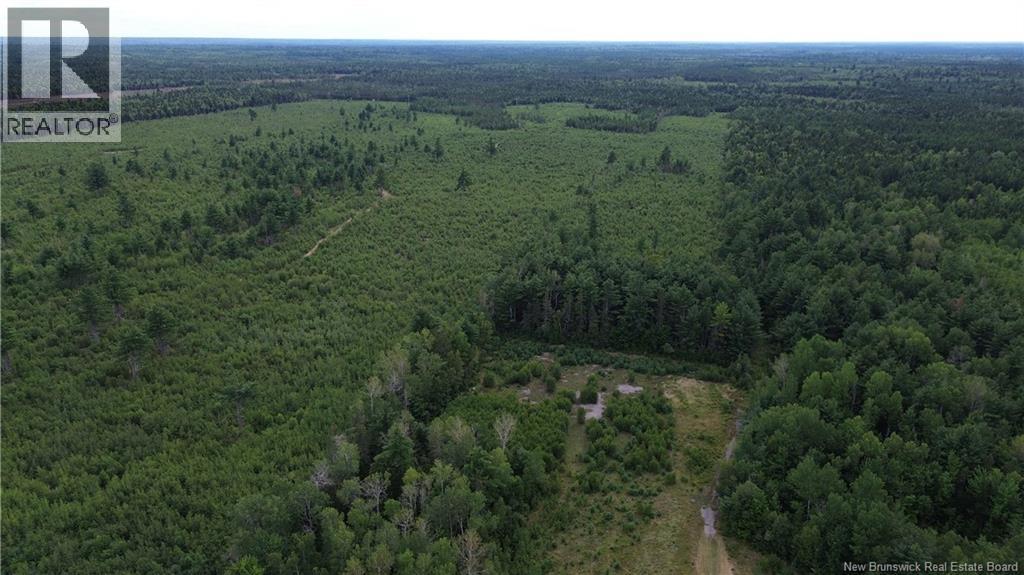 10035 Route 11, Redmondville, New Brunswick  E1N 5C6 - Photo 14 - NB145901