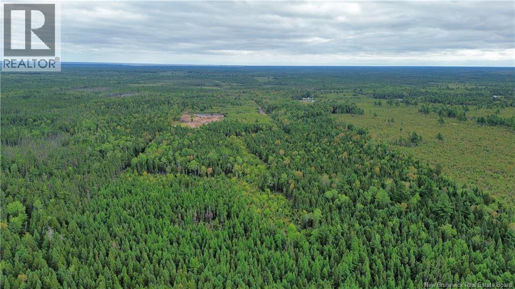 10035 Route 11, Redmondville, New Brunswick  E1N 5C6 - Photo 35 - NB145901