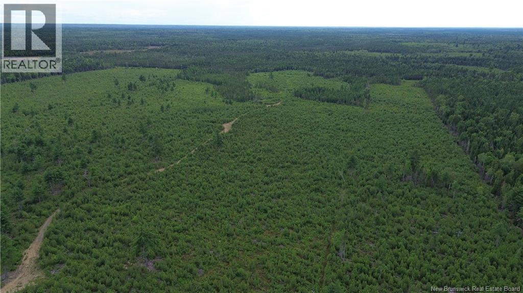 10035 Route 11, Redmondville, New Brunswick  E1N 5C6 - Photo 24 - NB145901