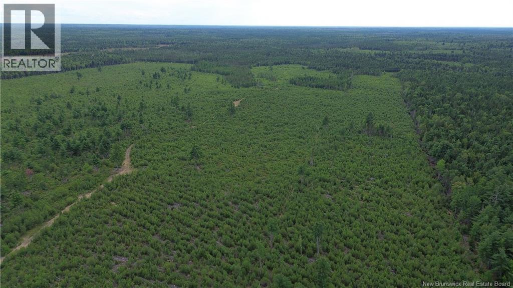 10035 Route 11, Redmondville, New Brunswick  E1N 5C6 - Photo 18 - NB145901