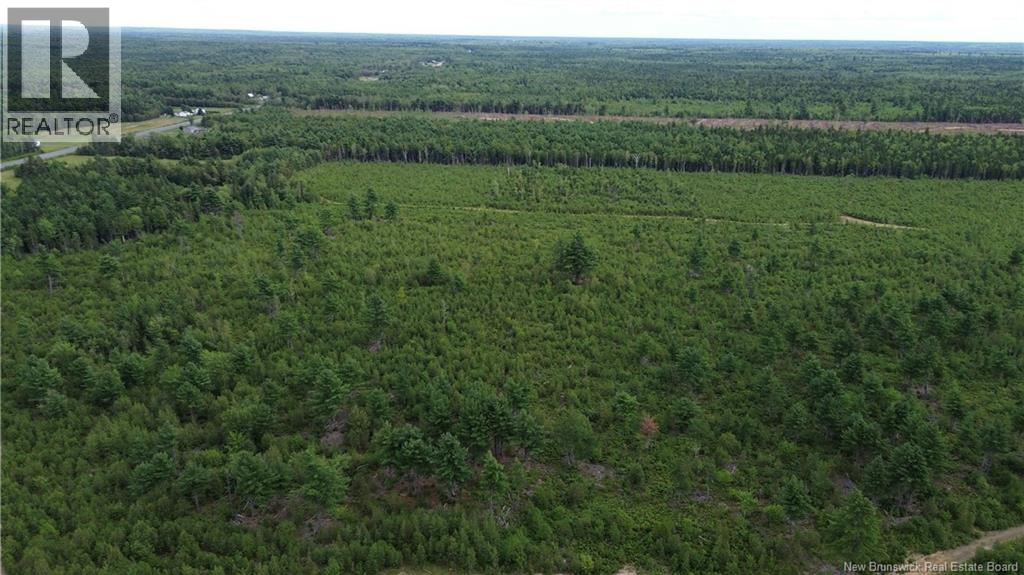 10035 Route 11, Redmondville, New Brunswick  E1N 5C6 - Photo 25 - NB145901