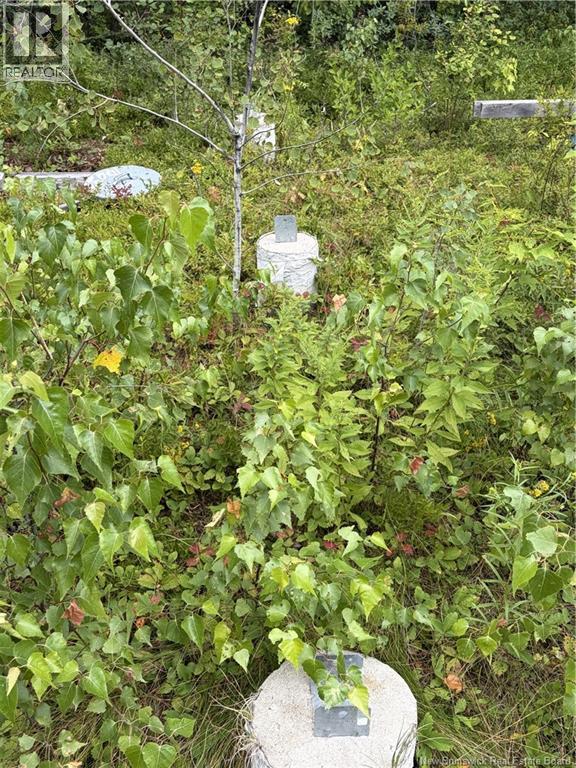 10035 Route 11, Redmondville, New Brunswick  E1N 5C6 - Photo 8 - NB145901