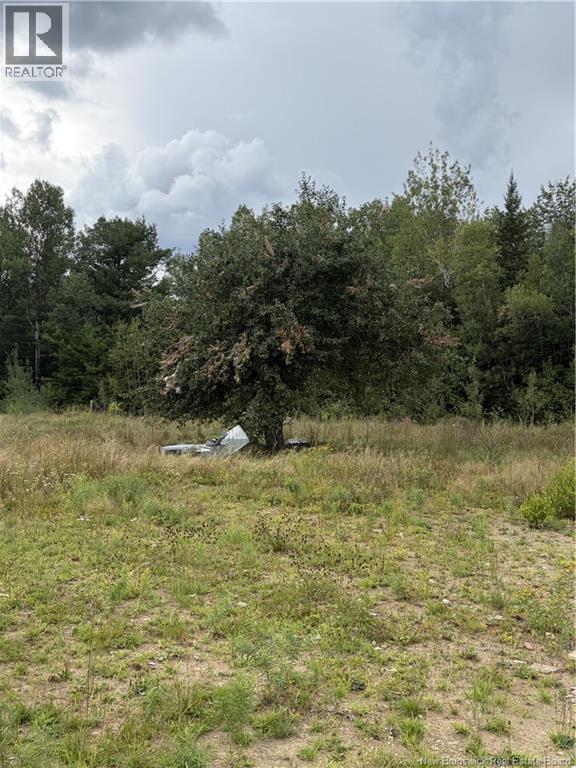 10035 Route 11, Redmondville, New Brunswick  E1N 5C6 - Photo 27 - NB145901
