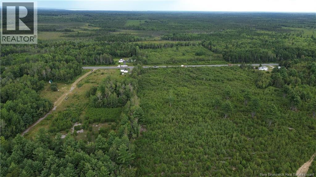 10035 Route 11, Redmondville, New Brunswick  E1N 5C6 - Photo 26 - NB145901