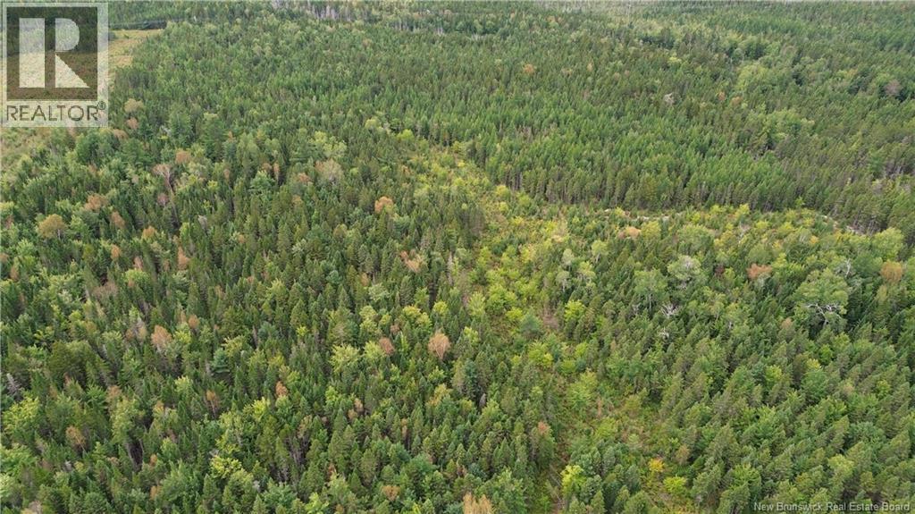 10035 Route 11, Redmondville, New Brunswick  E1N 5C6 - Photo 30 - NB145901