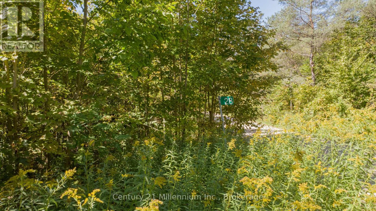 28 Roger's Crescent, South Bruce Peninsula, Ontario  N0H 2T0 - Photo 6 - X13783192